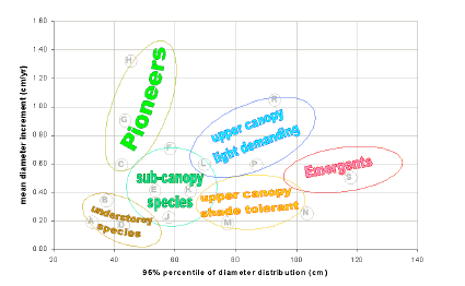 MYRLIN increment-size diagram